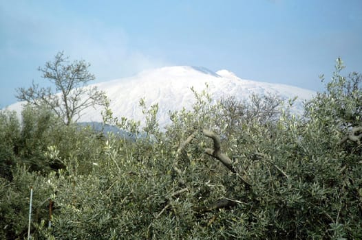 Snowy volcano