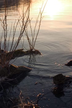 Evening at the lake 02