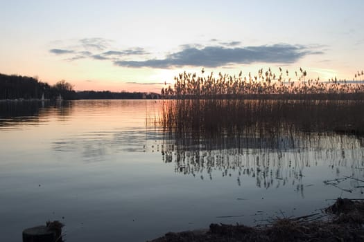 Evening at the lake 07
