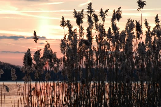 Evening at the lake 10