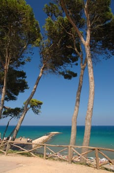 Sea view