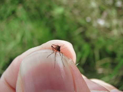 Plucked out of thin air... 1