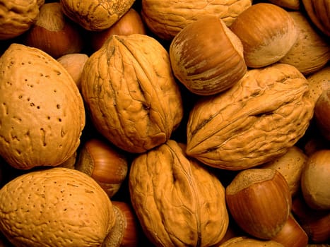 Nut Blend