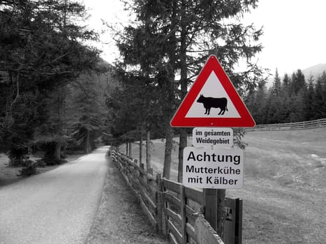 I've never seen such a sign before and somehow the cows are missing despite the warning ...  -)