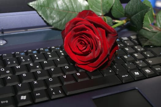 modern love letter
