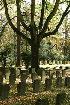 At the main cemetery Frankfurt on 05.11.2005