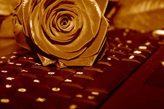 modern declaration of love