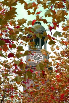 The Michel in autumn