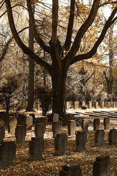 Main Cemetery Frankfurt on 05.11.2005