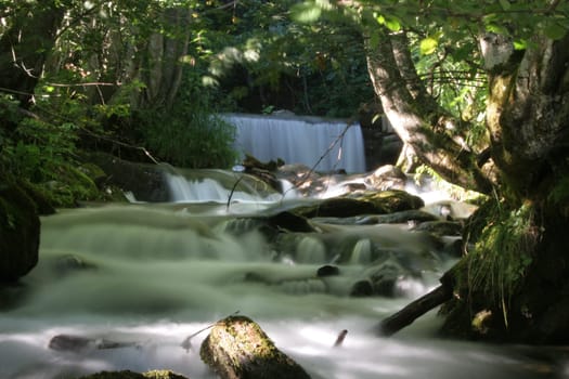 Torrent