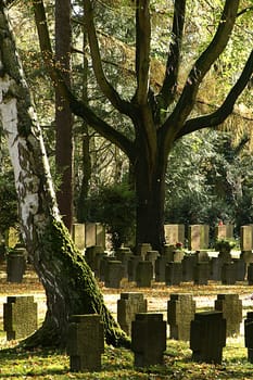 At the main cemetery Frankfurt on 05.11.2005