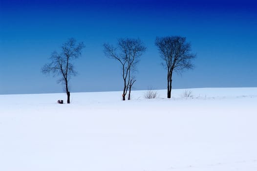 Winter Landscape 1