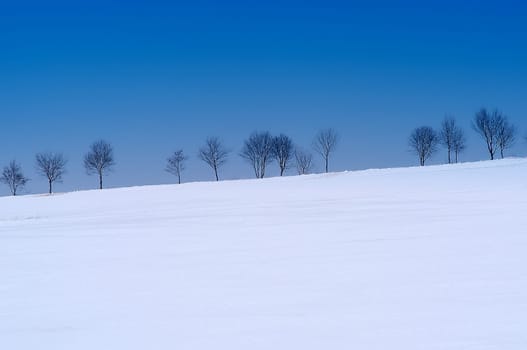 Winter Landscape 2
