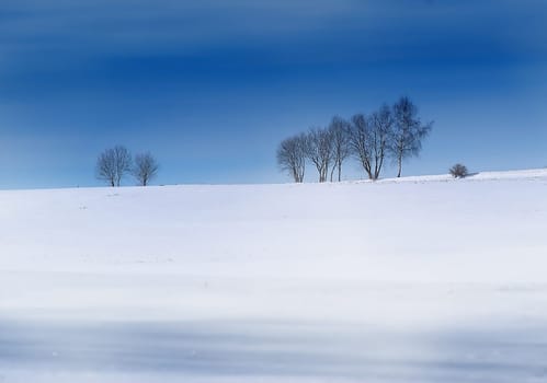 Winter Landscape 3
