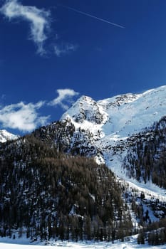 Winter Landscape 7