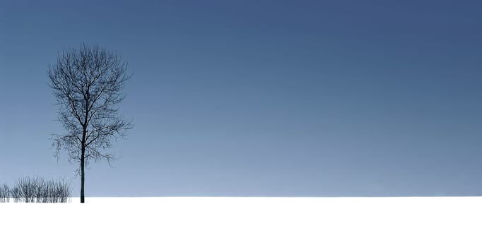 Winter Landscape 5