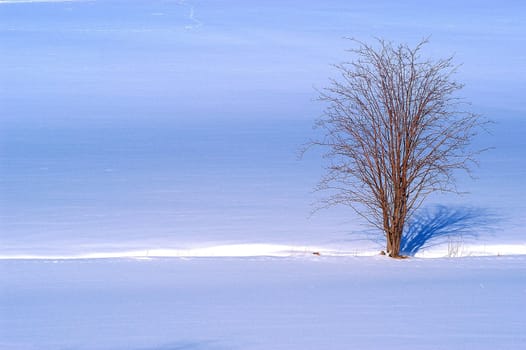 Winter Landscape 6