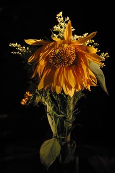 Taken in a restaurant in Dreieichenhain in late summer 2005
