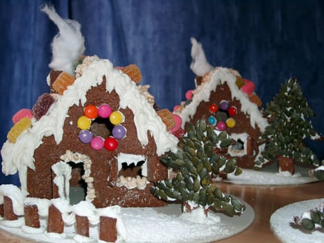 Crunchy house