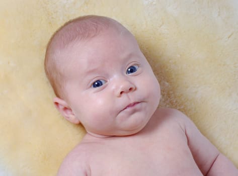 Baby Portrait