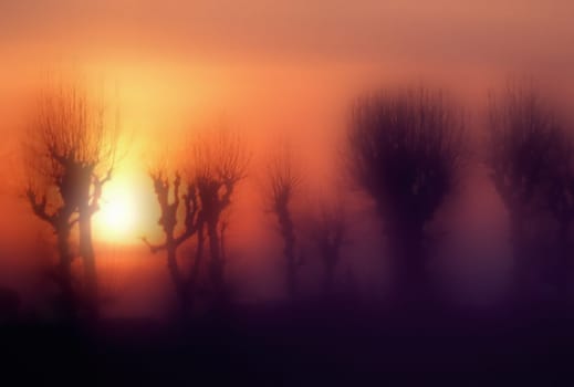 sunset or (sunset beach) or (sunset nature) or (sunset skyline)