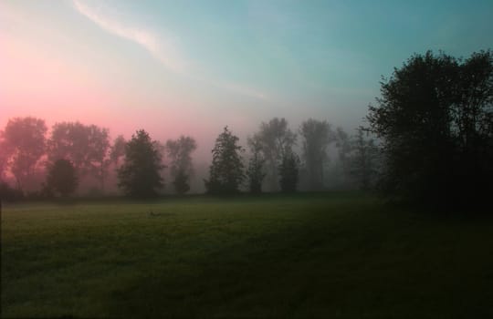 Morning Hour
