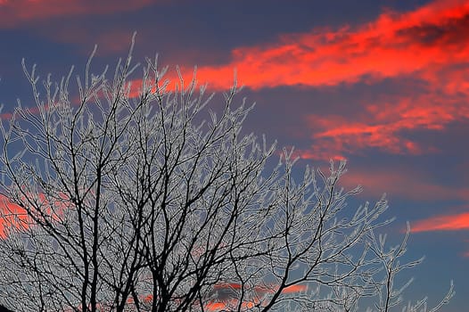 sunset or (sunset beach) or (sunset nature) or (sunset skyline)