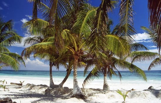 The beach of Punta Allen Mexico is located in a nature reserve about 200km from the border with Guatemala. Close by there is also the well-known archaeological site of Tulum