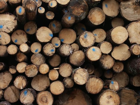 Logs