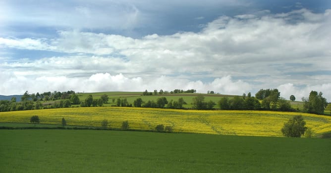 Landscape 2