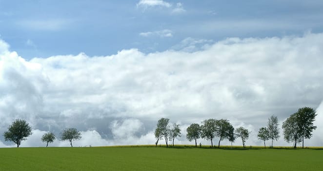 Landscape 4