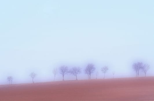 Landscape 7