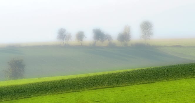 Landscape 1