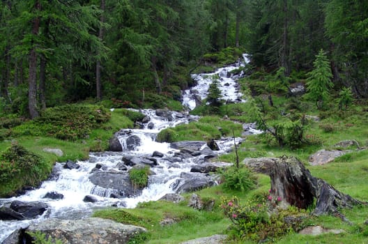 Mountain stream
