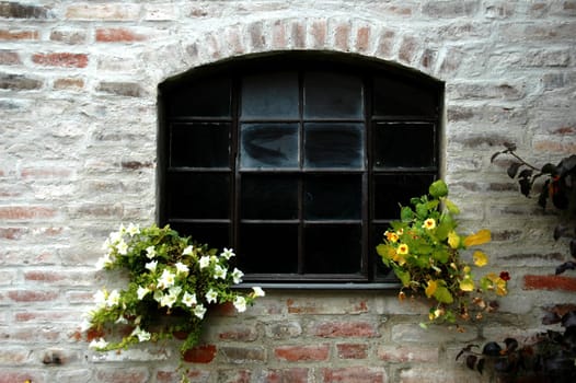 Old window