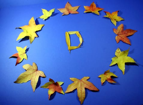 European flag with colorful leaves blue-yellow