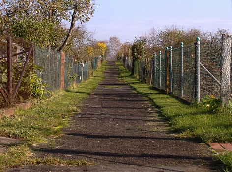Between the gardens