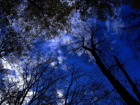 Light Break-in in the Dark Forest