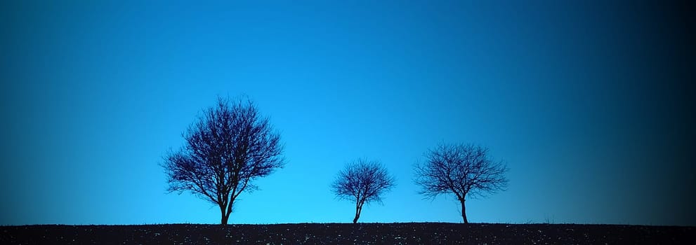 Three Trees