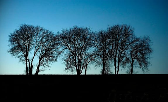 Dawn
