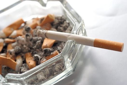 Cigarettes 12