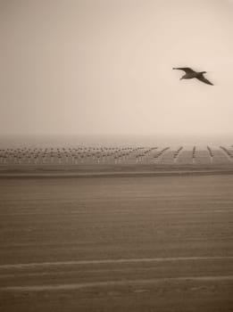 Empty beach
