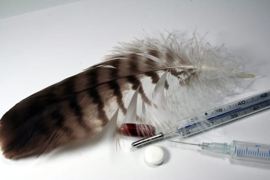 Avian influenza vaccination