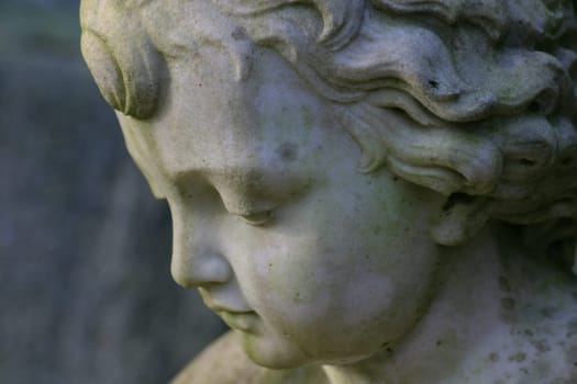 Angel Face