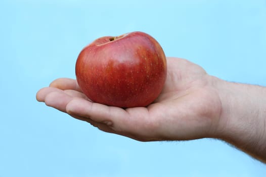Hand with apple