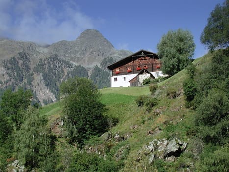 Mountain farm