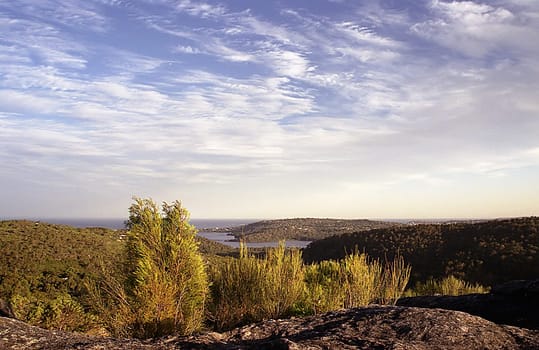 Taken from Garigal Nature Reserve,Elanora Height,Northern Beaches of Sydney in early 2002 This used to be my view very close to where I lived!