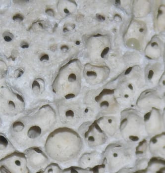 perforated stone