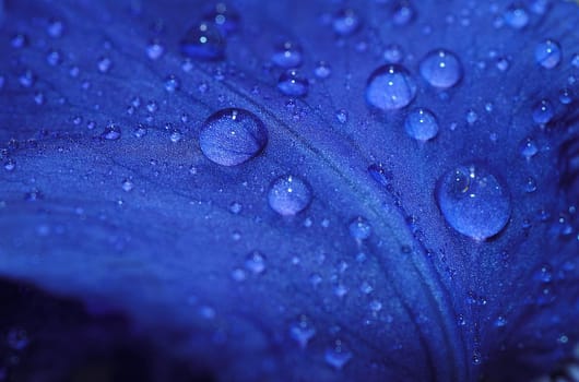 The color blue