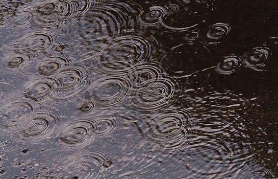 Rainy day